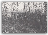 Il parco - 1978