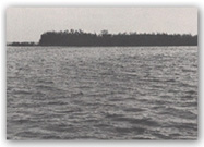 Buel del Lovo - 1978