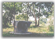 Vera da pozzo - 1998