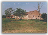 Il Tezon grande - 1998