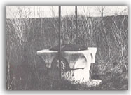 Vera da pozzo - 1978