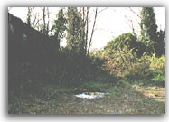 Depredata la vera da pozzo - 1998