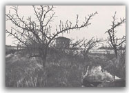 Resti delle case - 1978