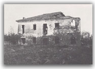 Il fabbricato più grande - 1978