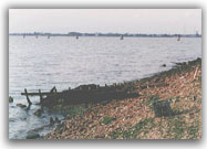 Rive abbandonate - 1998