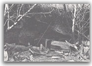 Erosione - 1978