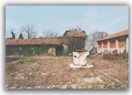 Azienda agricola: i resti - 1998