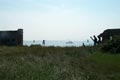 isola di S. Spirito - foto 6