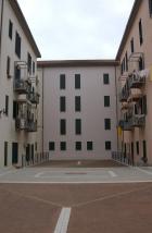 Clicca per visualizzare l'immagine DSC_8799.jpg ad alta risoluzione