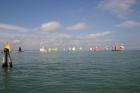 Clicca per visualizzare l'immagine IMG_4382.jpg ad alta risoluzione
