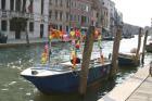 Clicca per visualizzare l'immagine IMG_5027.JPG ad alta risoluzione