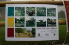 Clicca per visualizzare l'immagine IMG_5599.JPG ad alta risoluzione
