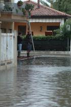 Clicca per visualizzare l'immagine gazzeraDSC_9689.jpg ad alta risoluzione