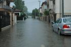 Clicca per visualizzare l'immagine gazzeraDSC_9767.jpg ad alta risoluzione