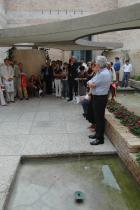 Clicca per visualizzare l'immagine DSC_9162.jpg ad alta risoluzione