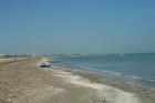 Clicca per visualizzare l'immagine alberoni spiaggia 2.jpg ad alta risoluzione