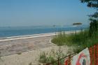 Clicca per visualizzare l'immagine alberoni spiaggia.jpg ad alta risoluzione