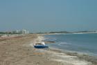 Clicca per visualizzare l'immagine alberoni spiaggia3.jpg ad alta risoluzione