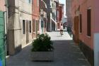 Clicca per visualizzare l'immagine pellestrina15.jpg ad alta risoluzione
