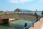 Clicca per visualizzare l'immagine s.fisola ponte.jpg ad alta risoluzione