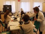 Laboratorio